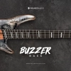 Buzzer Bass Artwork